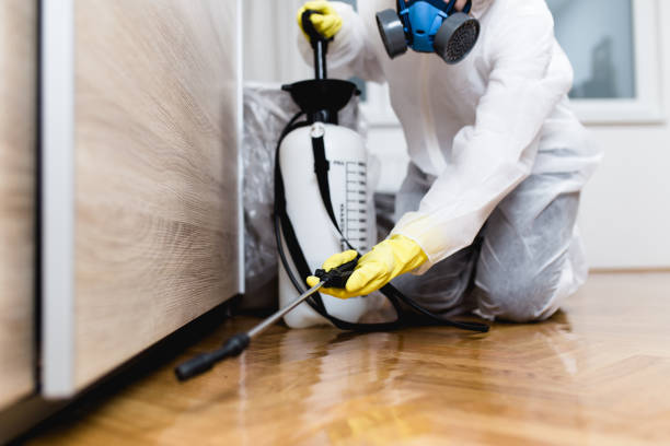 Best Mosquito Control Services  in Beach Haven, NJ