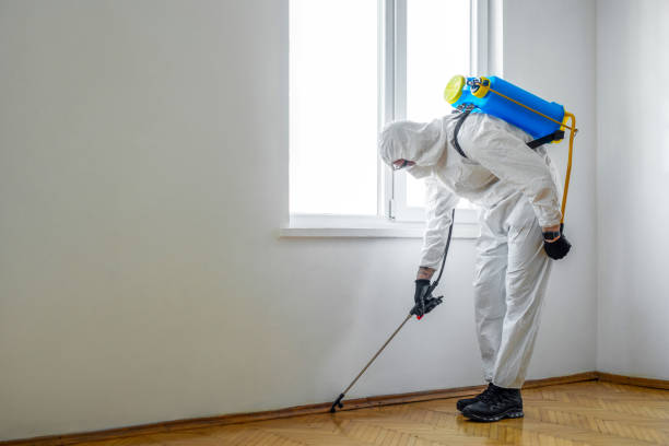Best Wildlife Control Services  in Beach Haven, NJ