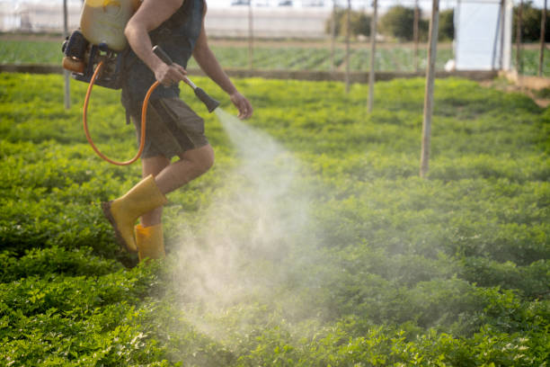 Best Commercial Pest Control Services  in Beach Haven, NJ