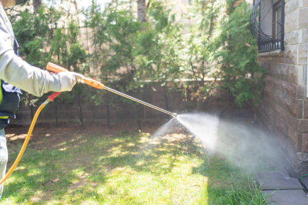 Best Pest Prevention Services  in Beach Haven, NJ